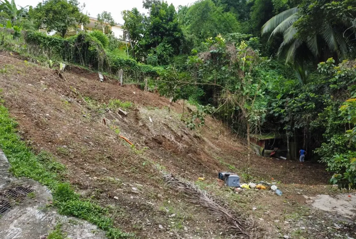 Terrain constructible de 1062 m² à vendre à Fort-de-France, Balata, vue campagne 