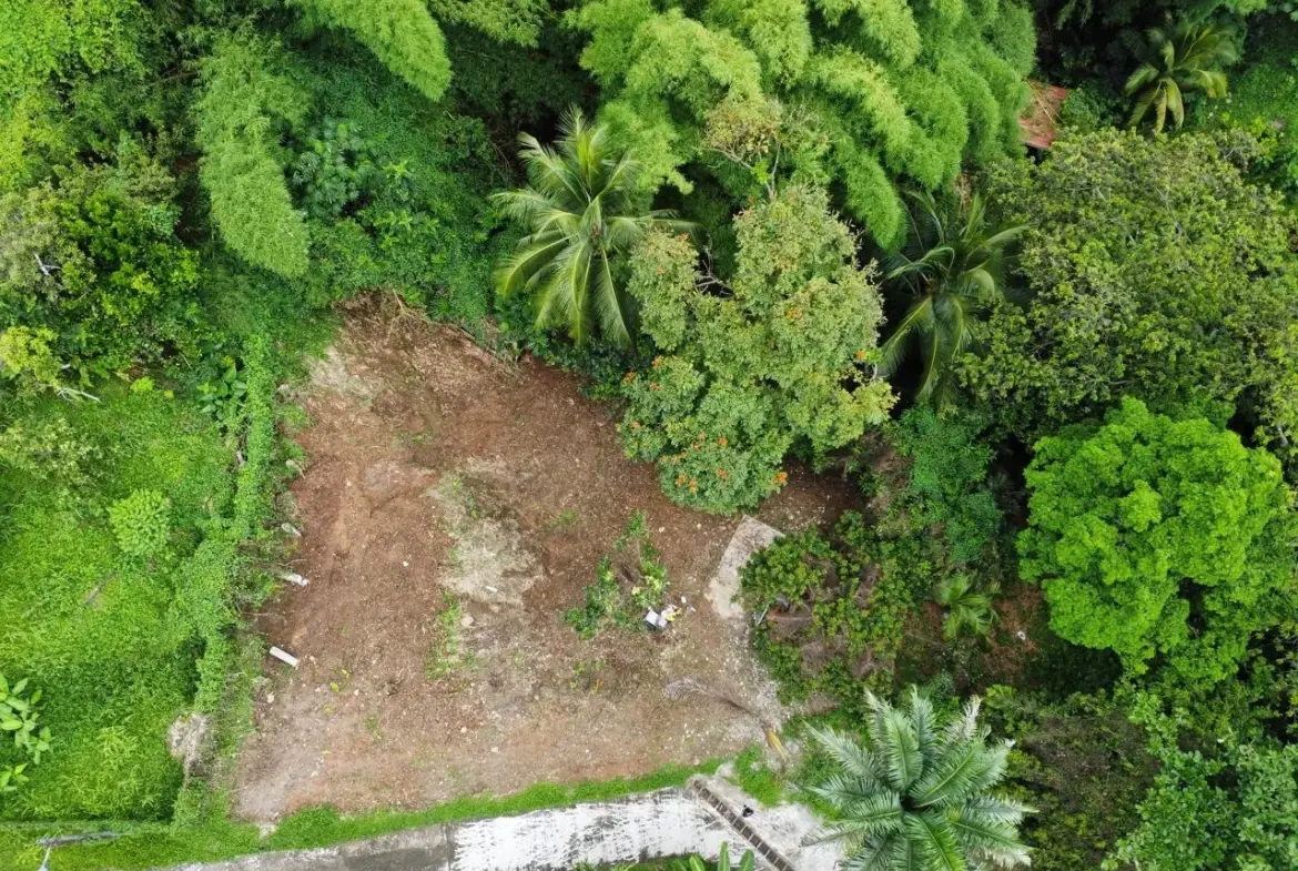 Terrain constructible de 1062 m² à vendre à Fort-de-France, Balata, vue campagne 