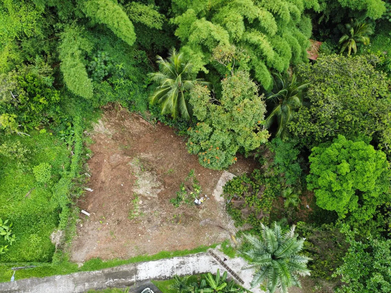 Terrain constructible de 1062 m² à vendre à Fort-de-France, Balata, vue campagne 