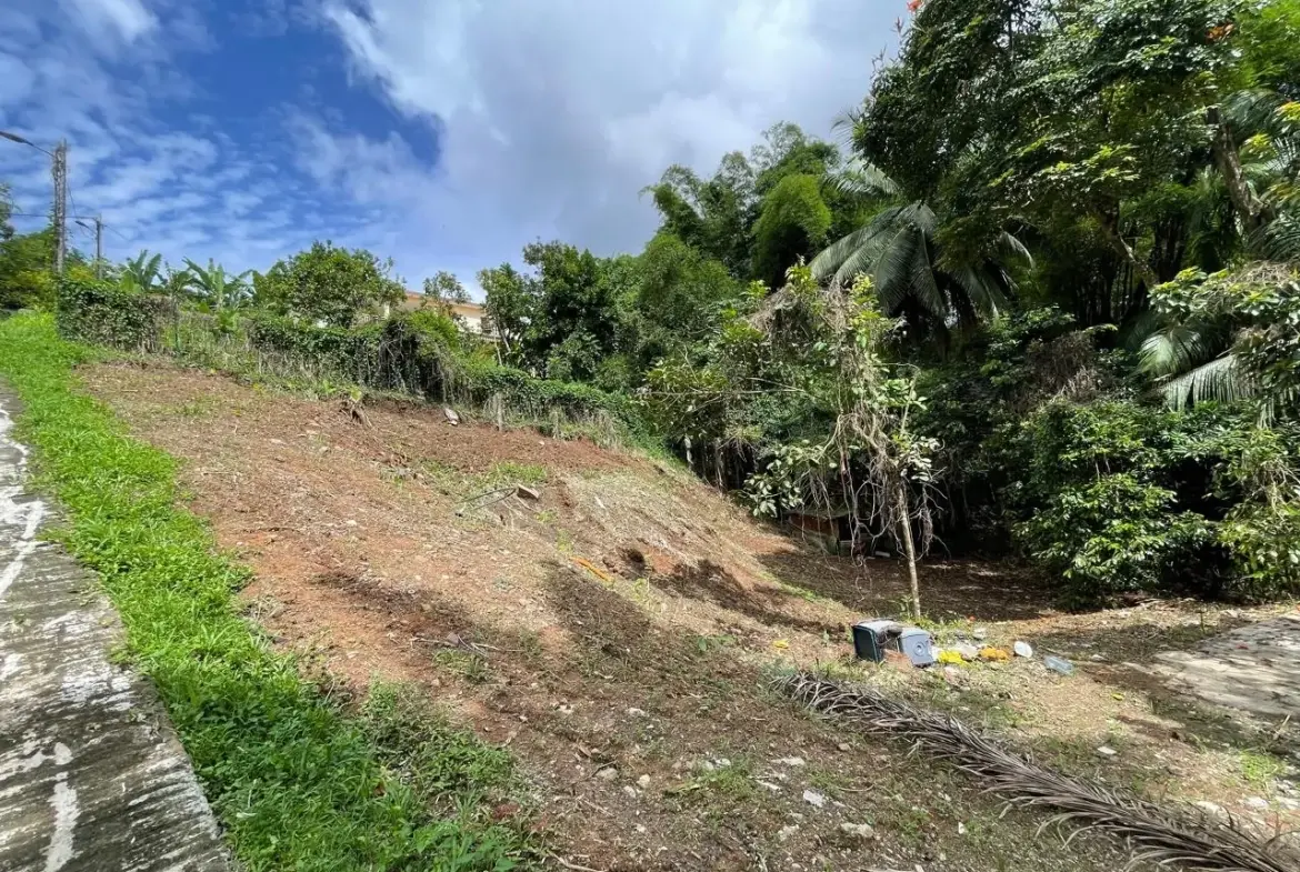 Terrain constructible de 1062 m² à vendre à Fort-de-France, Balata, vue campagne 