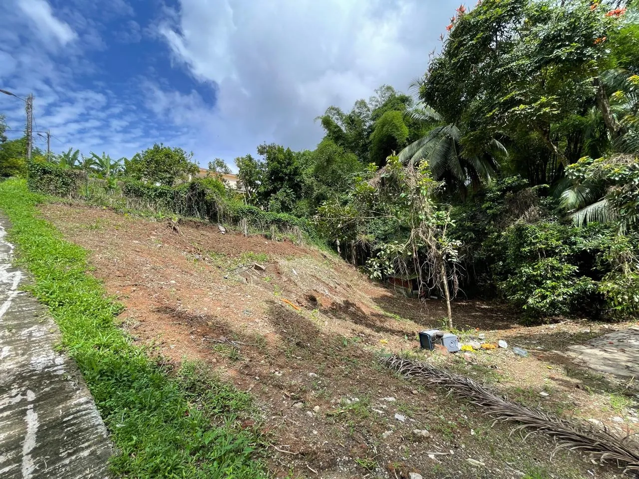 Terrain constructible de 1062 m² à vendre à Fort-de-France, Balata, vue campagne 