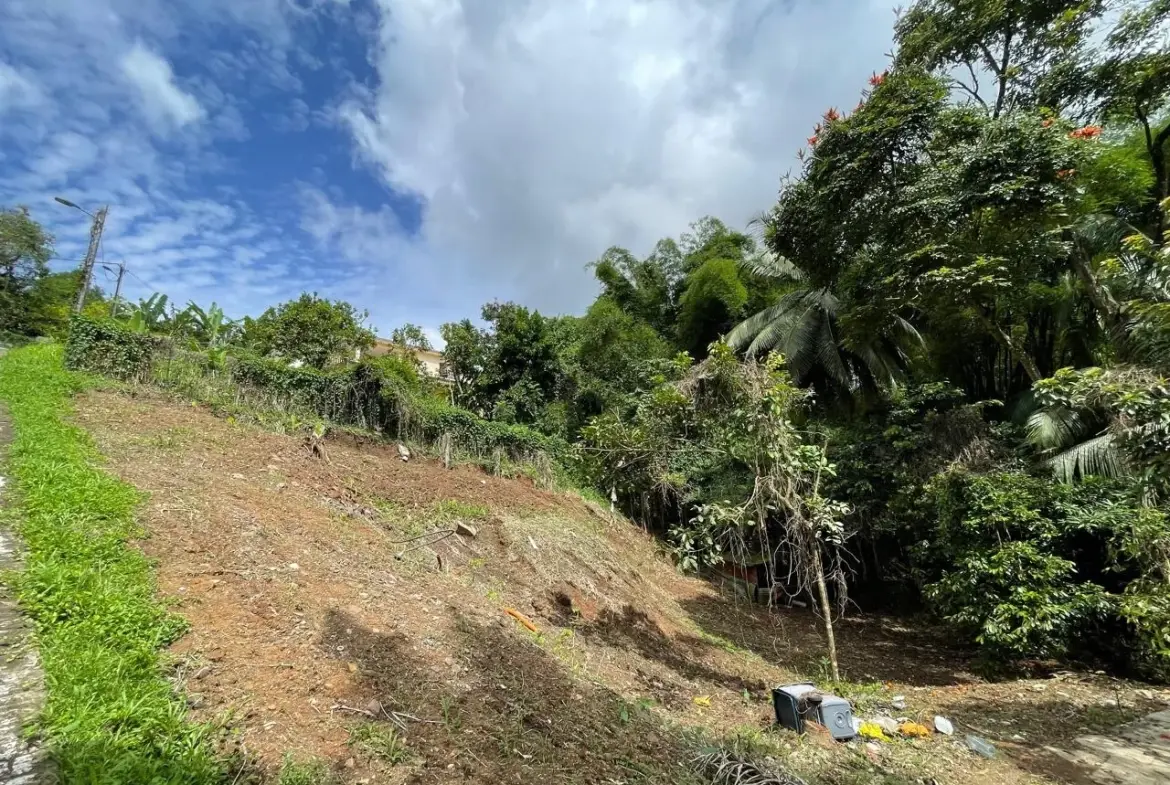 Terrain constructible de 1062 m² à vendre à Fort-de-France, Balata, vue campagne 