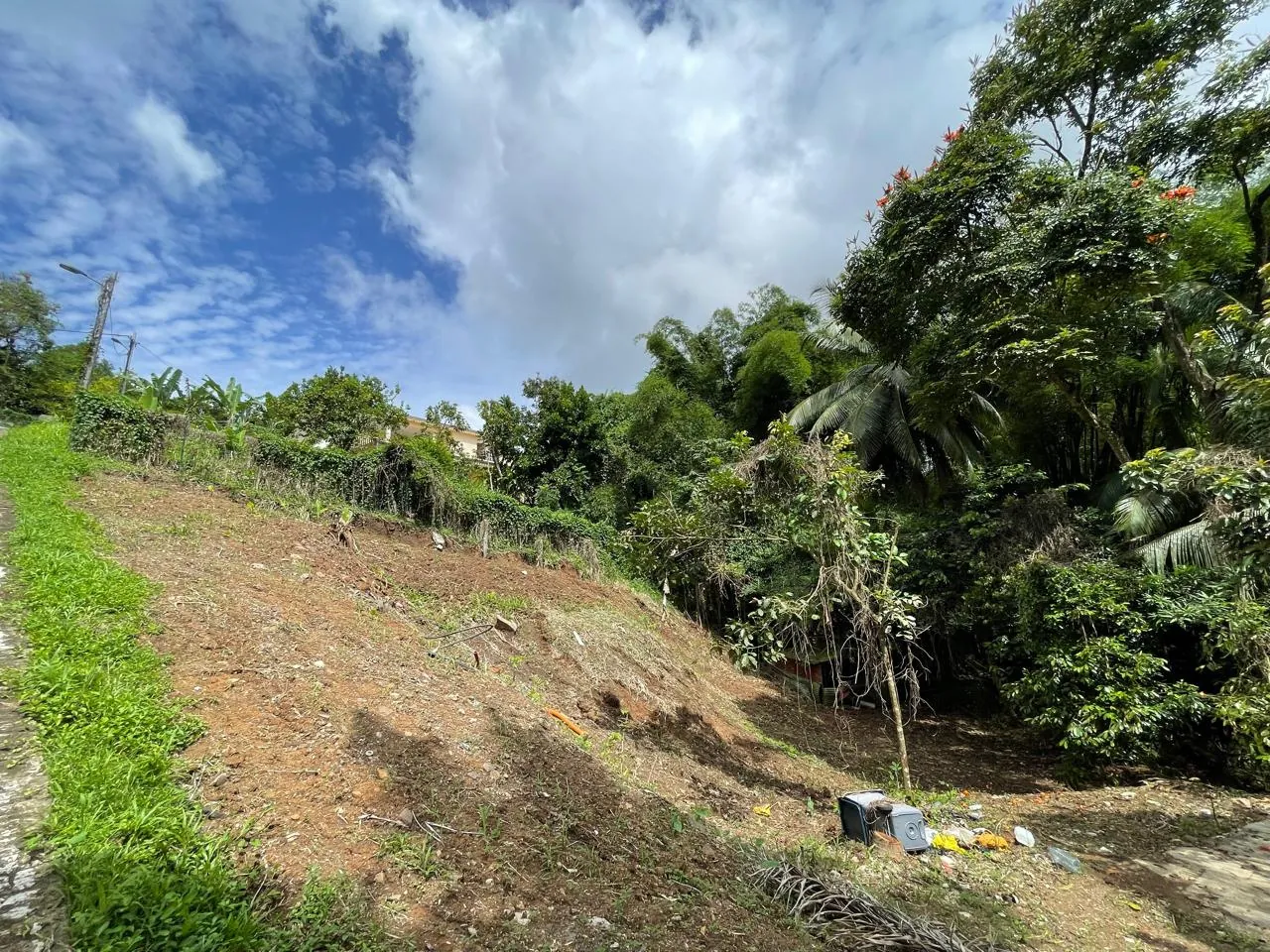 Terrain constructible de 1062 m² à vendre à Fort-de-France, Balata, vue campagne 
