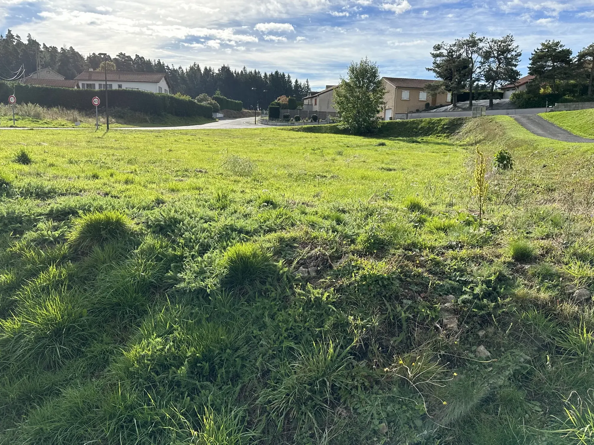 Terrain constructible de 1574 m² à Montfaucon-en-Velay, libre de constructeur 