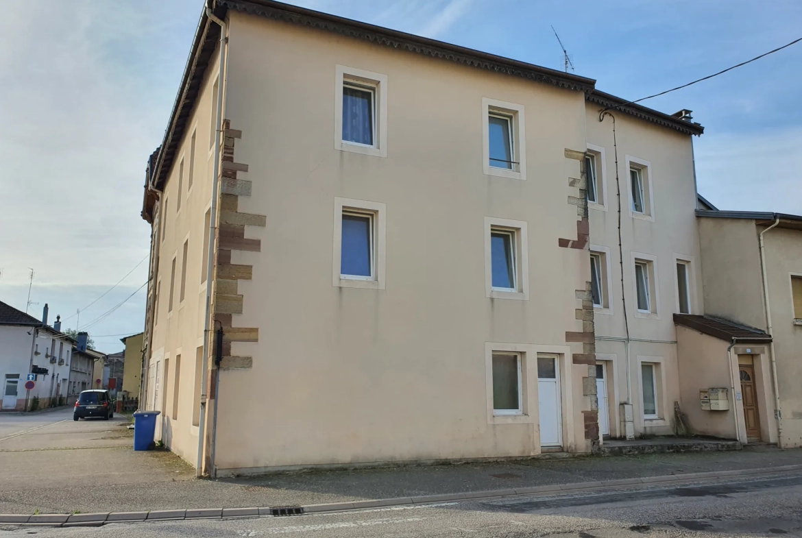 Immeuble de 305 m² à Rambervillers - Investissement locatif rentable 