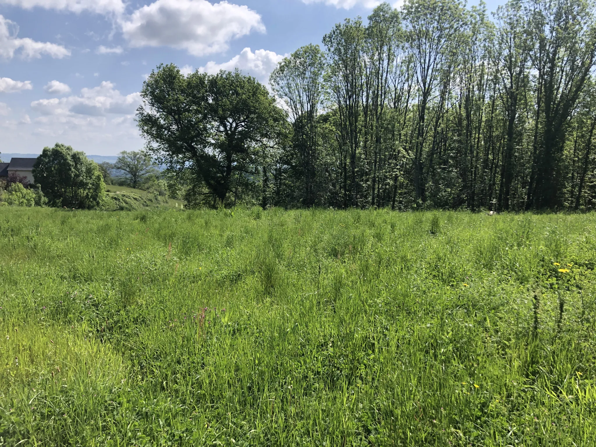 Terrain constructible avec jolie vue à Saint Cyprien en campagne 