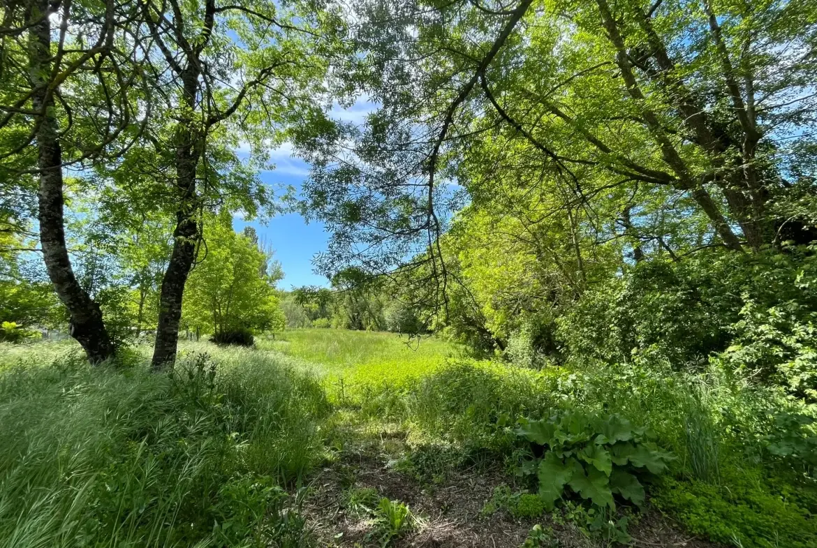 Maison en pierre de 160 m² avec dépendances et grand terrain à Moulin-Neuf 