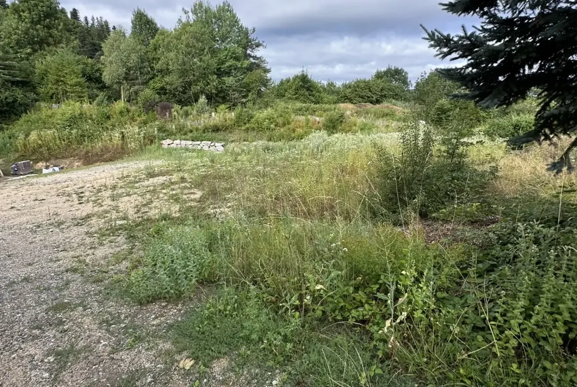 Terrain constructible de 695 m² à La Séauve-sur-Semène, viabilisé, exposition sud 