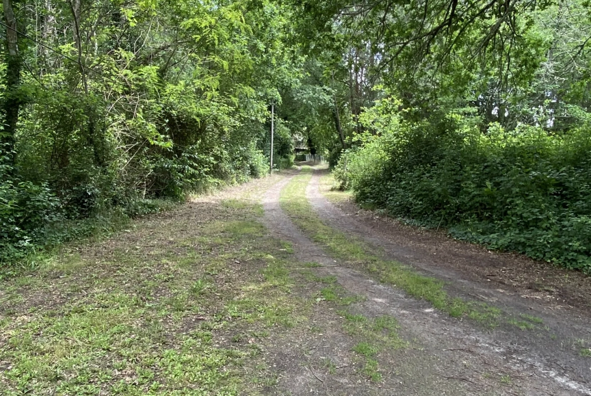 Maison récente à 10 km de Langon, cadre calme et nature dans le Sauternais 