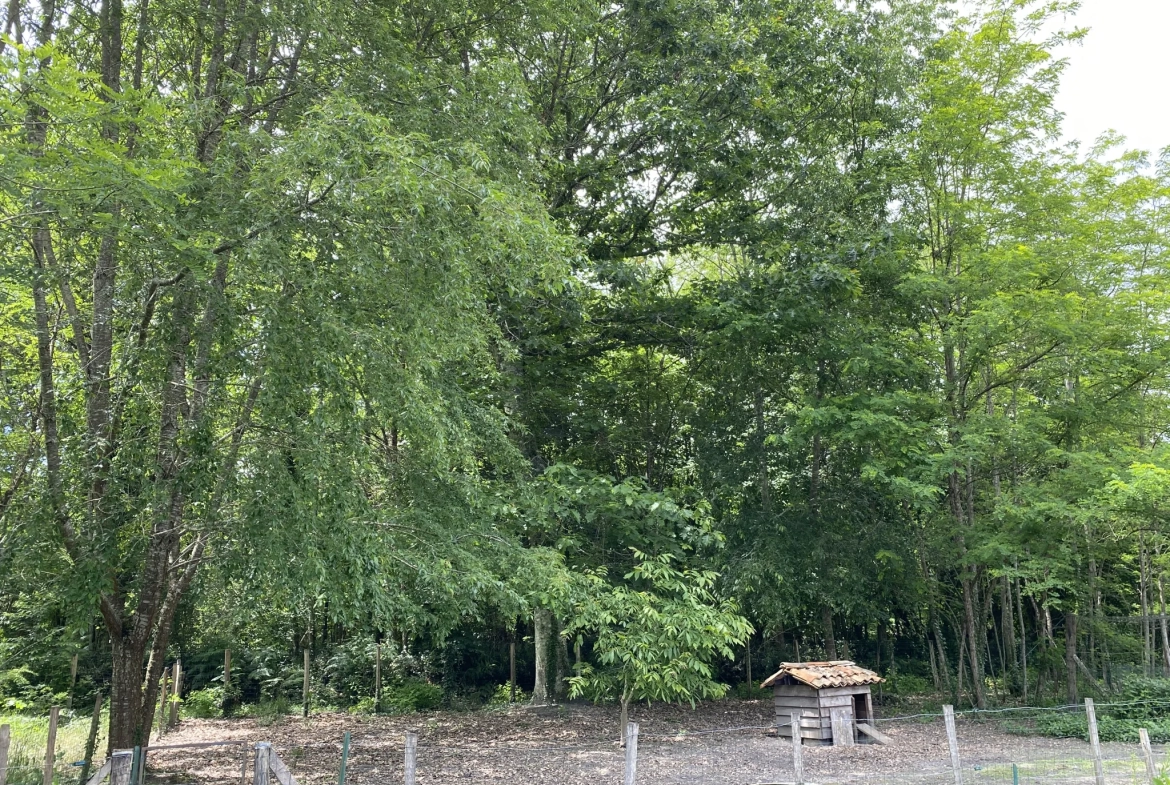 Maison récente à 10 km de Langon, cadre calme et nature dans le Sauternais 