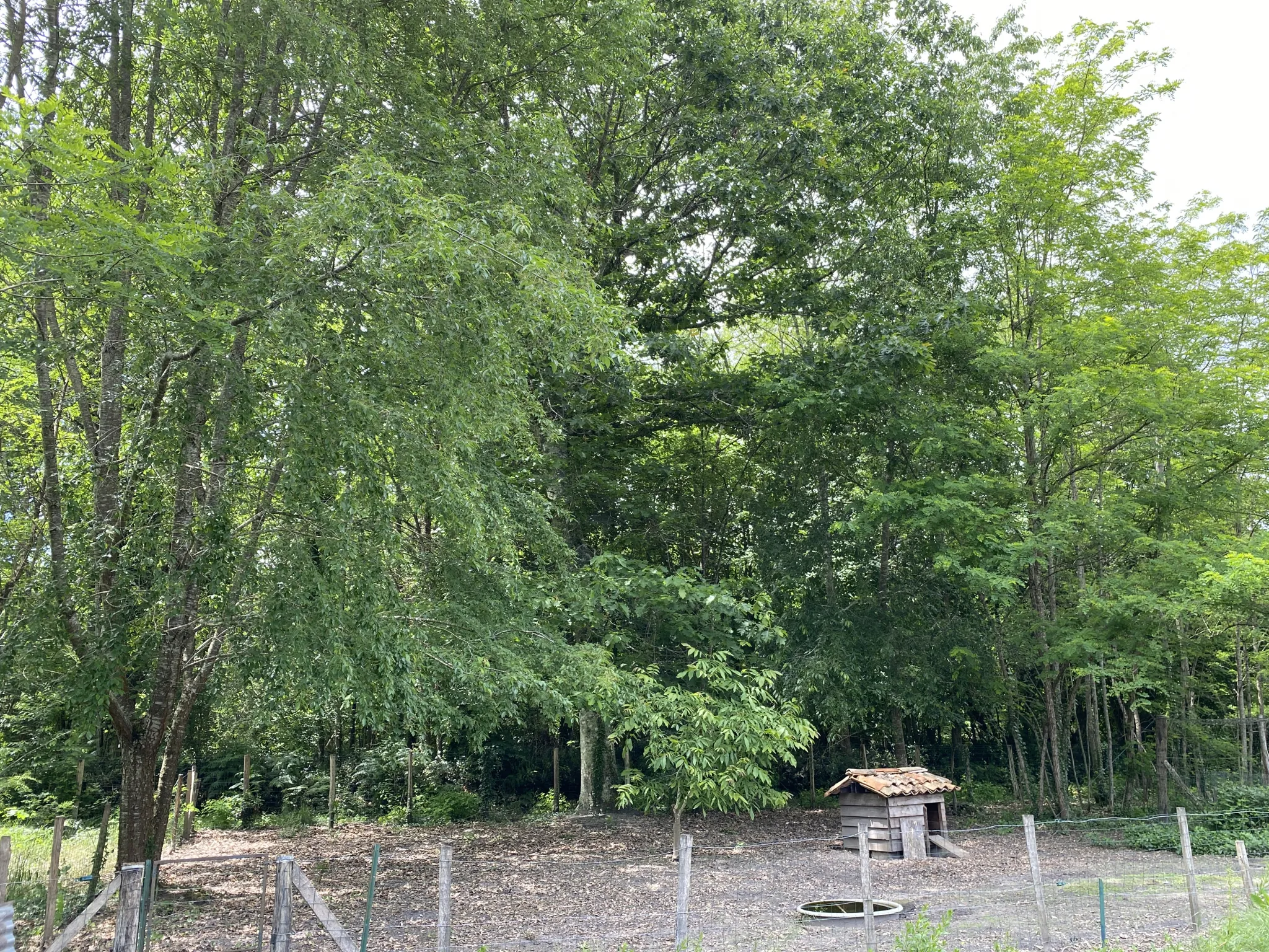 Maison récente à 10 km de Langon, cadre calme et nature dans le Sauternais 