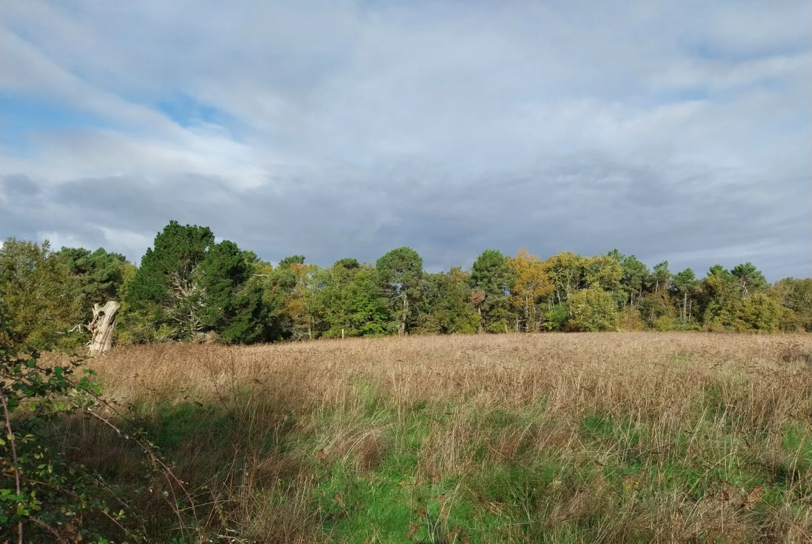 Magnifique ensemble immobilier avec maison et terrain de 2 hectares près de la forêt de la Double 