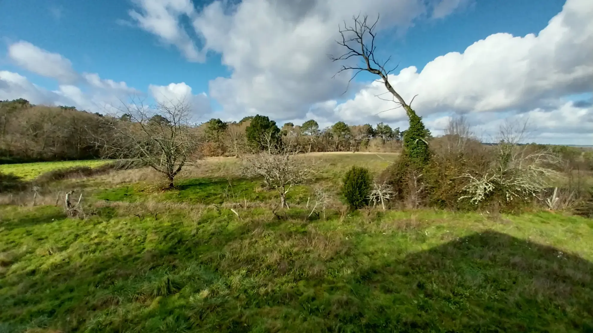 Magnifique ensemble immobilier avec maison et terrain de 2 hectares près de la forêt de la Double 