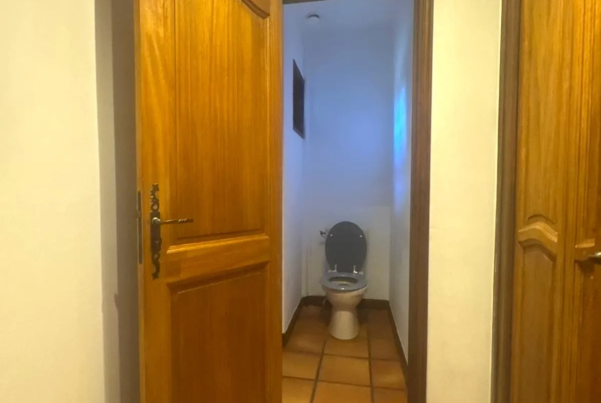Villa de 160 m² à Monistrol-sur-Loire avec vaste potentiel et terrain arboré 