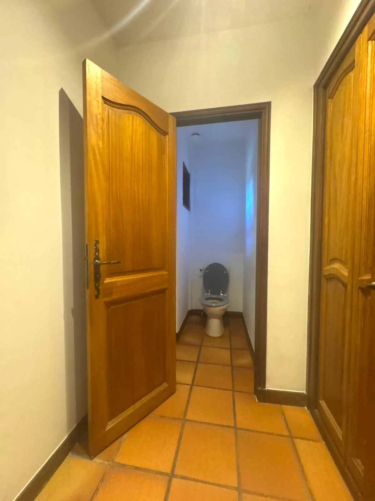Villa de 160 m² à Monistrol-sur-Loire avec vaste potentiel et terrain arboré 