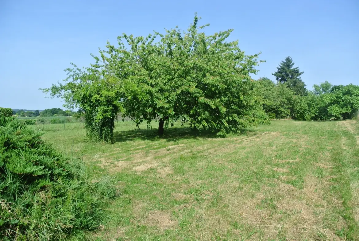 Maison de plain-pied à vendre près de Marmande avec grand jardin à Beaupuy 