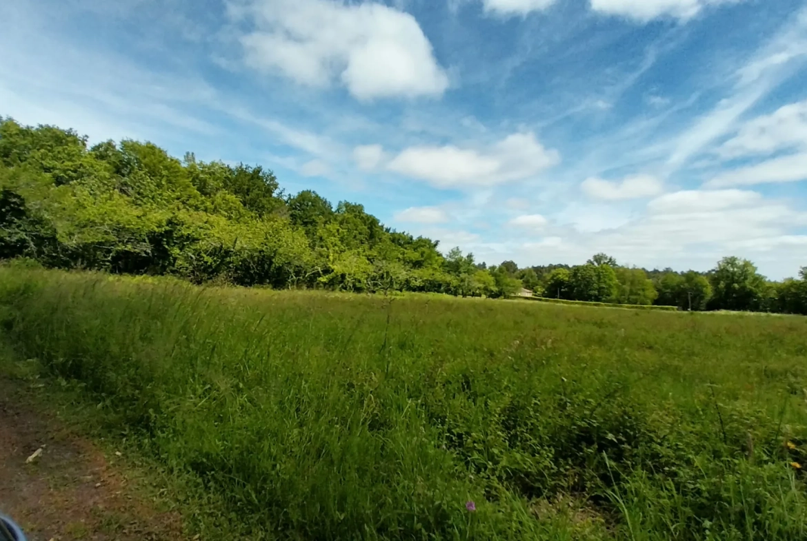 Terrain constructible à Bussac de 16 000 m² pour projet de lotissement en zone 1AU 