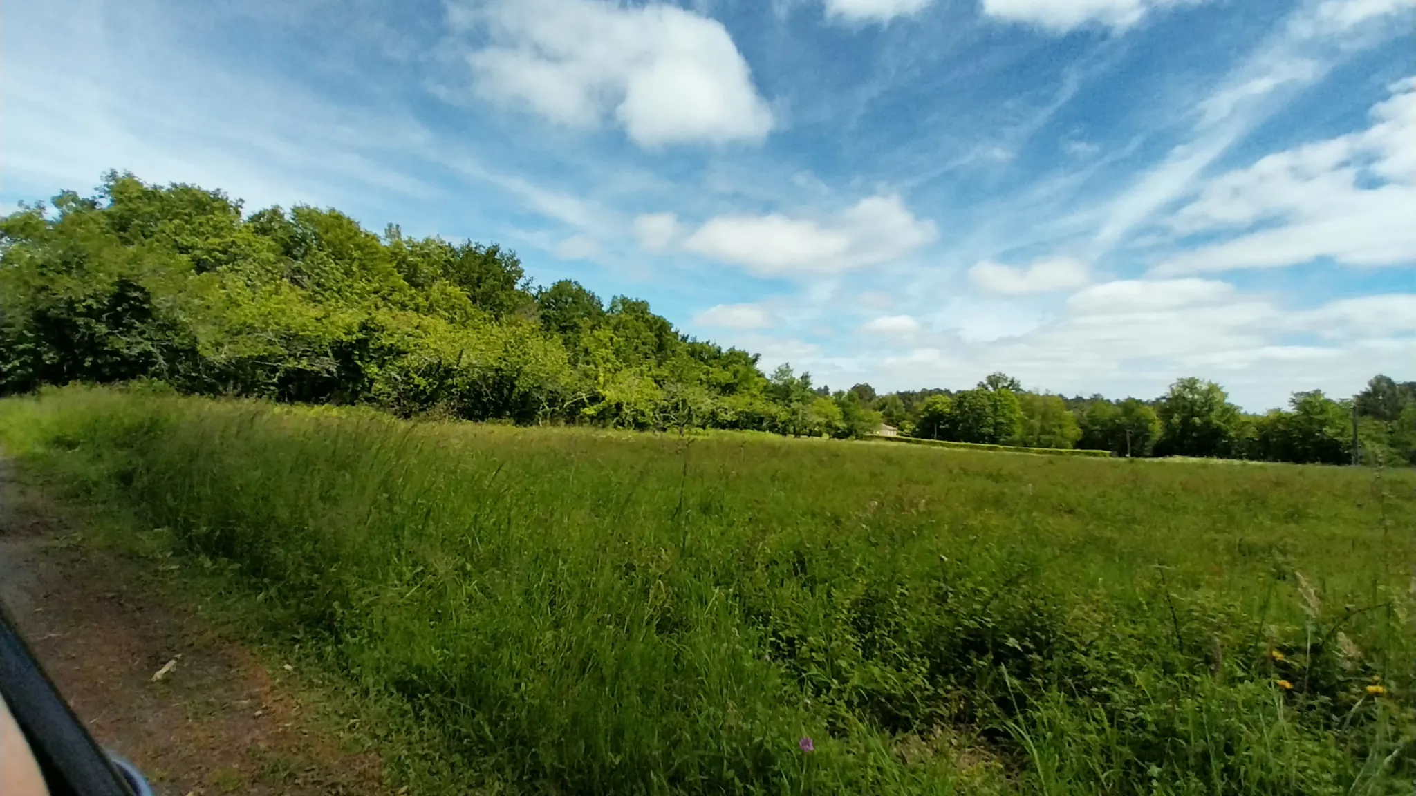 Terrain constructible à Bussac de 16 000 m² pour projet de lotissement en zone 1AU 