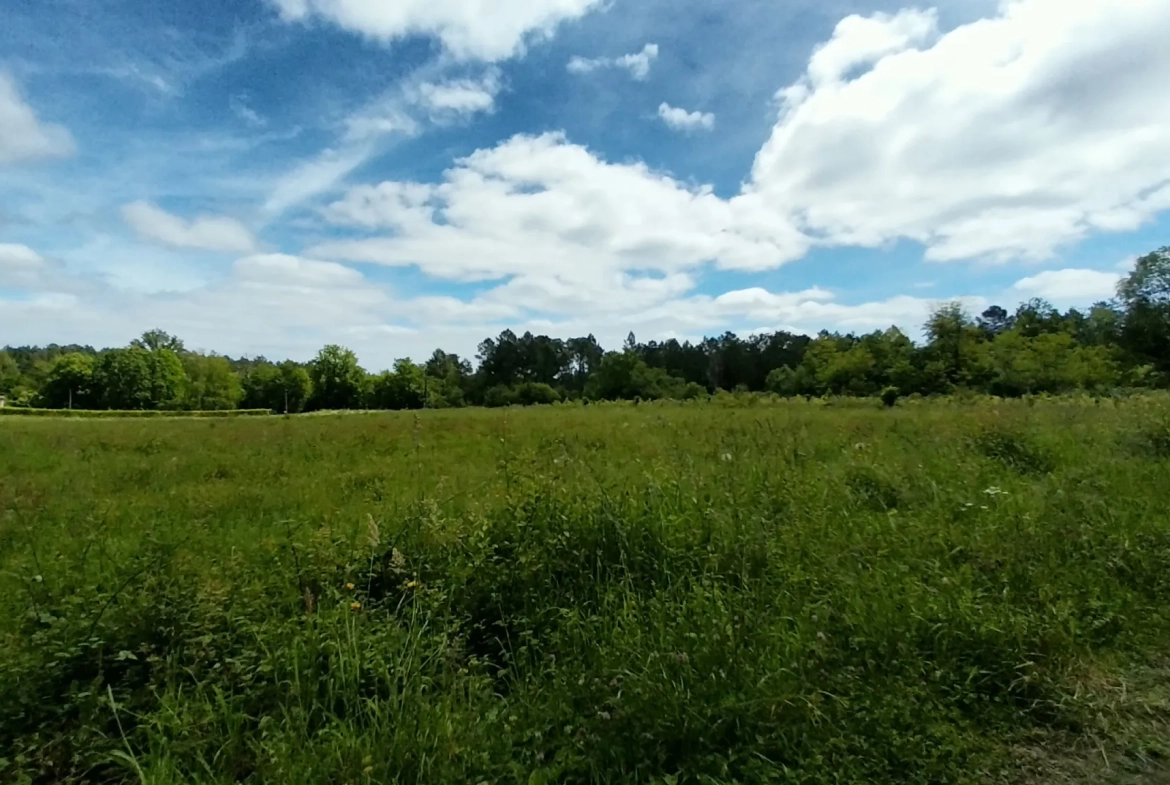 Terrain constructible à Bussac de 16 000 m² pour projet de lotissement en zone 1AU 