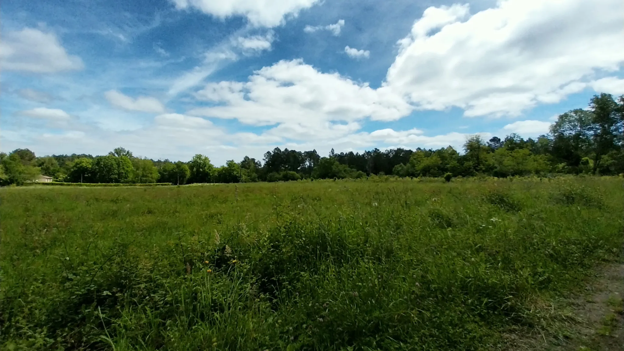 Terrain constructible à Bussac de 16 000 m² pour projet de lotissement en zone 1AU 