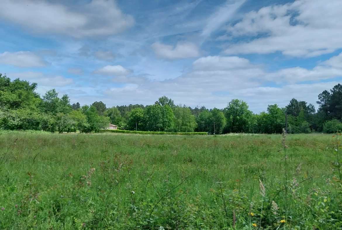 Terrain constructible à Bussac de 16 000 m² pour projet de lotissement en zone 1AU 