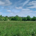 Terrain constructible à Bussac de 16 000 m² pour projet de lotissement en zone 1AU