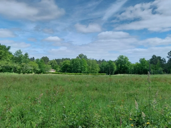 Terrain constructible à Bussac de 16 000 m² pour projet de lotissement en zone 1AU