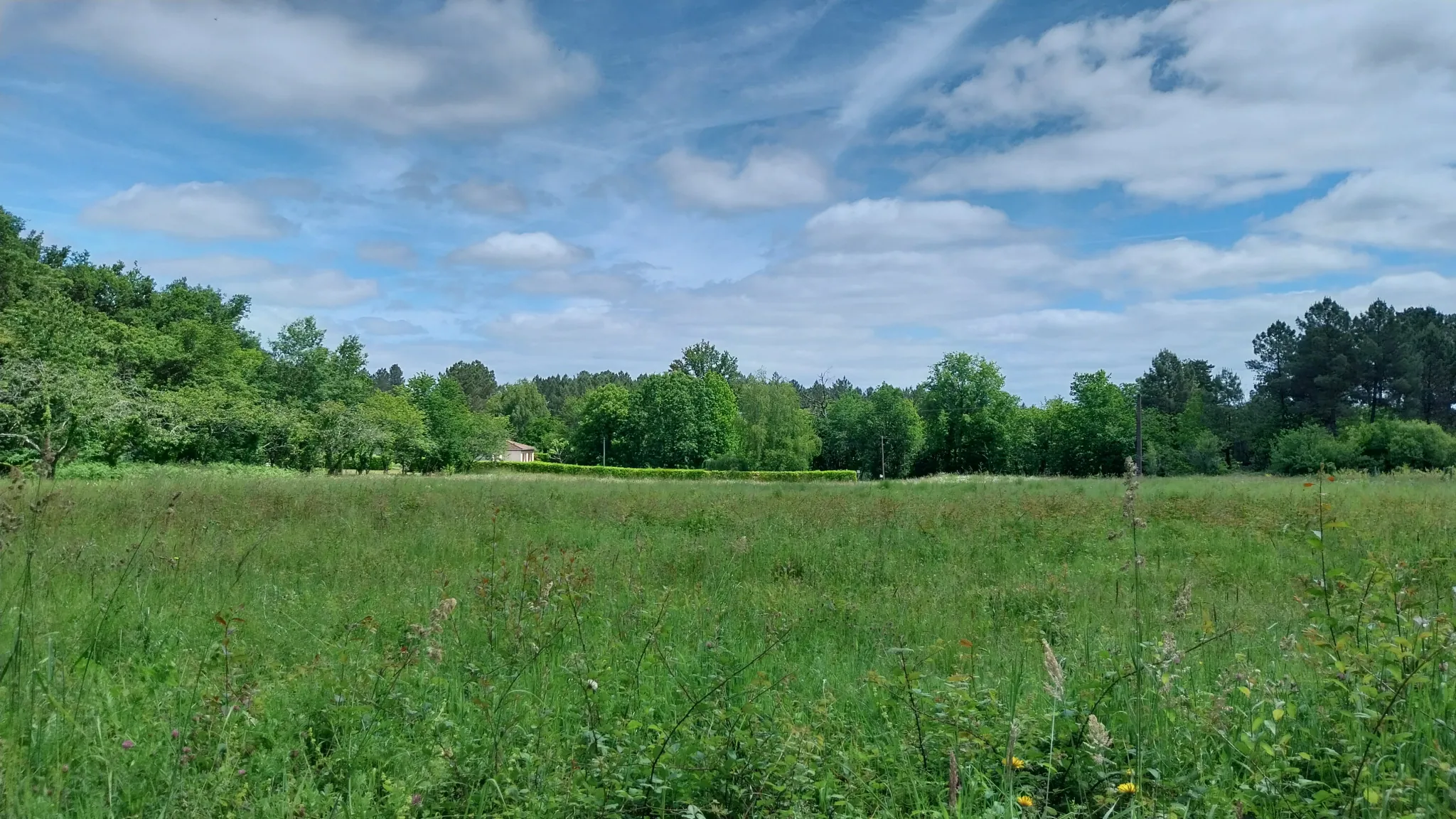 Terrain constructible à Bussac de 16 000 m² pour projet de lotissement en zone 1AU 