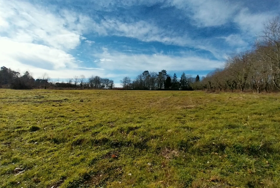 Terrain constructible à Bussac de 16 000 m² pour projet de lotissement en zone 1AU 