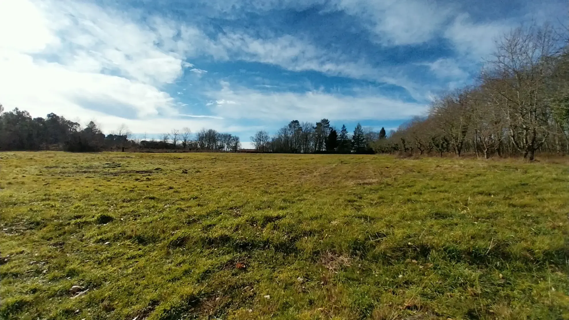 Terrain constructible à Bussac de 16 000 m² pour projet de lotissement en zone 1AU 
