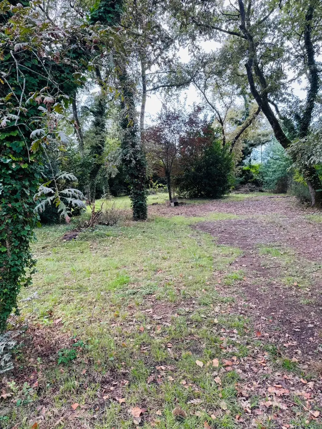 Terrain constructible de 997 m² à Mont-de-Marsan, environnement calme et verdoyant 
