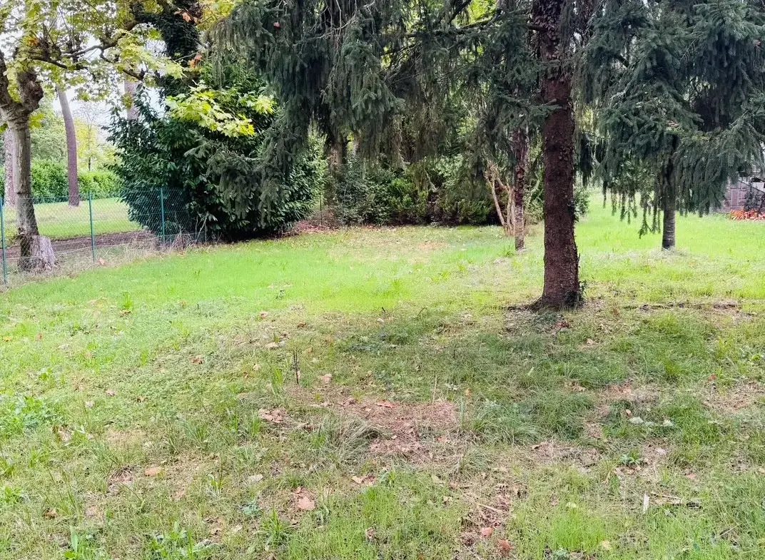 Terrain constructible de 997 m² à Mont-de-Marsan, environnement calme et verdoyant 