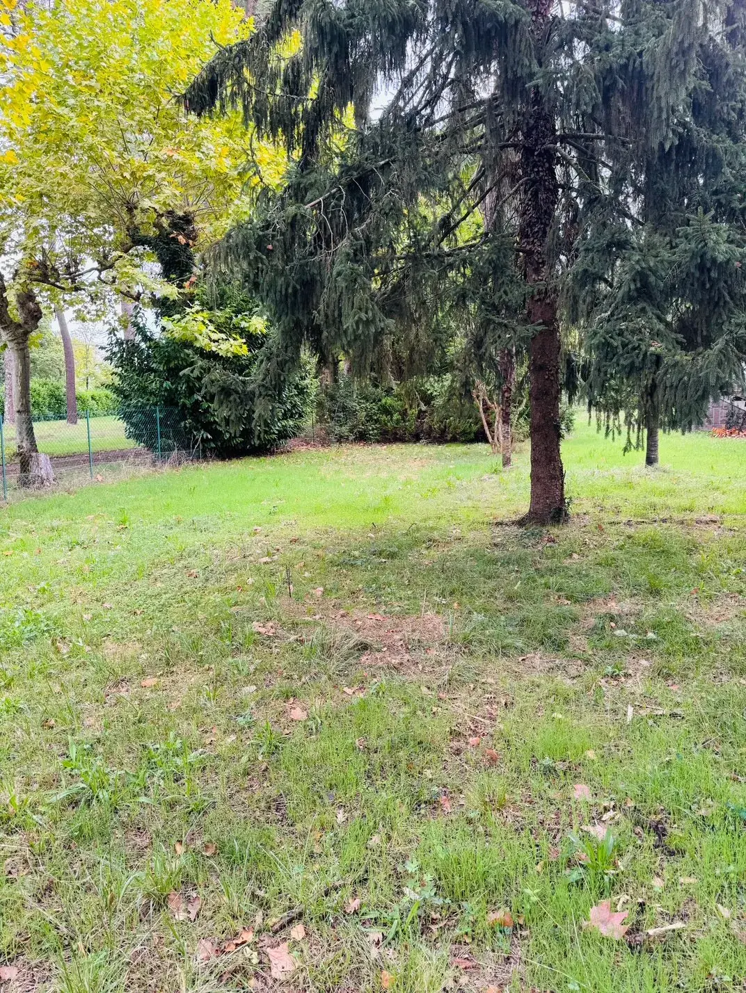 Terrain constructible de 997 m² à Mont-de-Marsan, environnement calme et verdoyant 