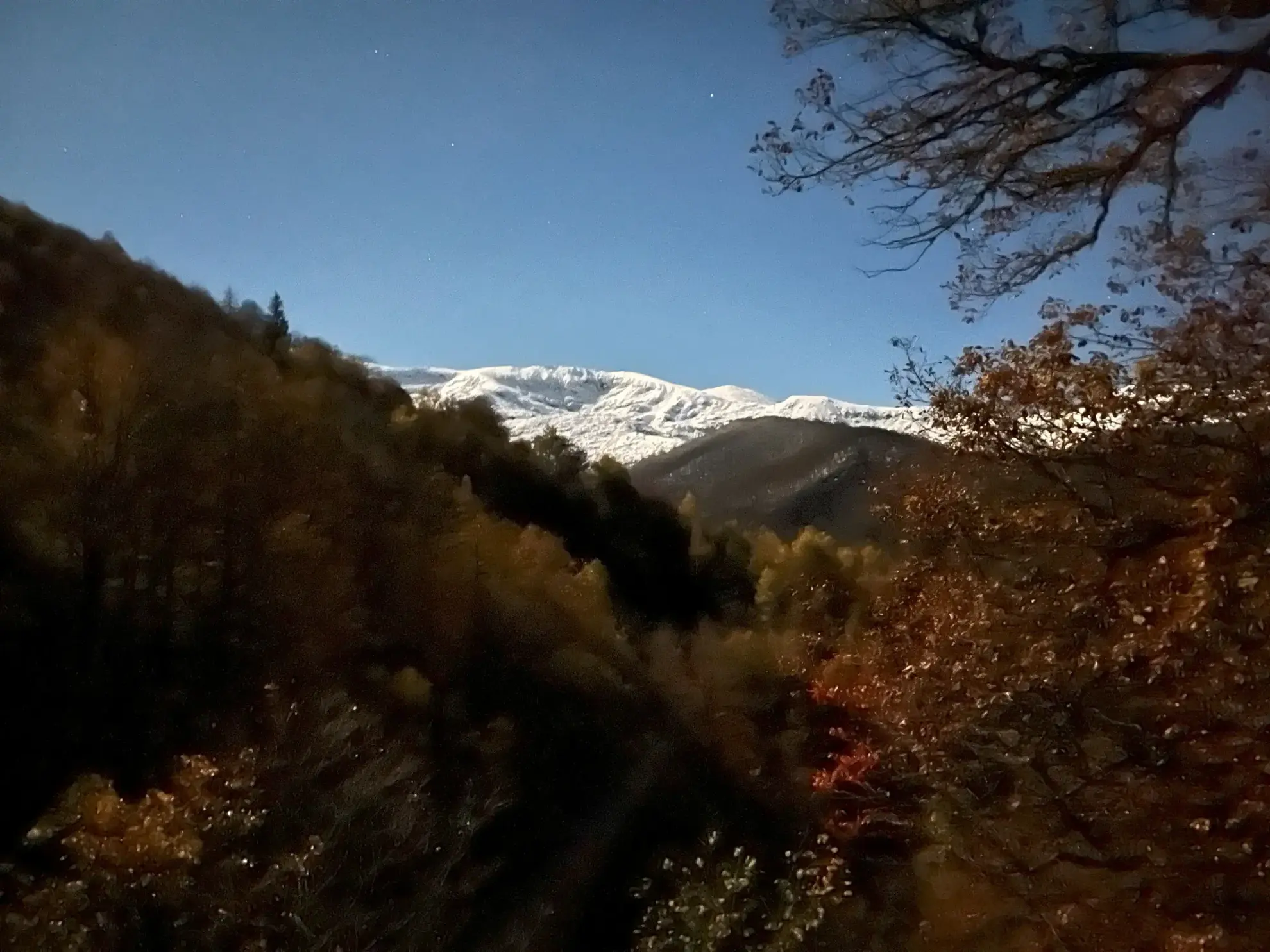 Ferme écologique et autonome de 42 m² dans les Pyrénées Ariégeoises 
