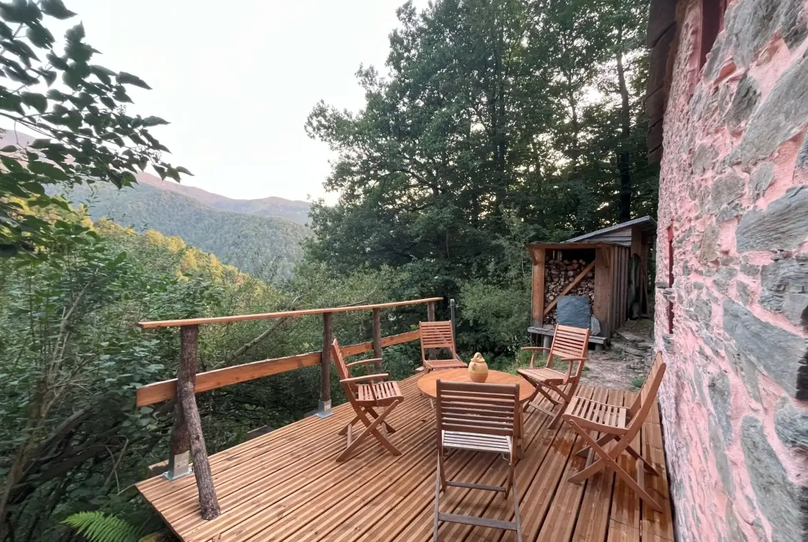 Ferme écologique et autonome de 42 m² dans les Pyrénées Ariégeoises 