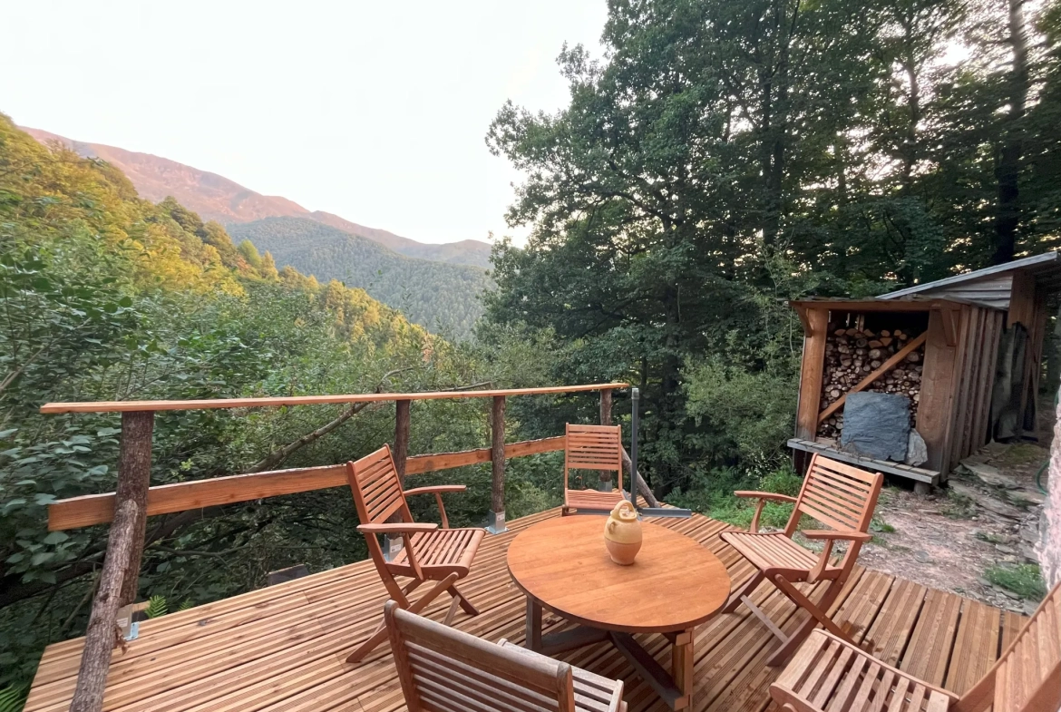 Ferme écologique et autonome de 42 m² dans les Pyrénées Ariégeoises 
