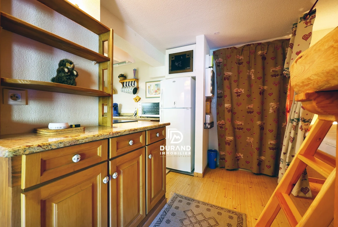 beaux appartements à vendre à Vars - T2 bis rénové avec cheminée et ambiance chalet 