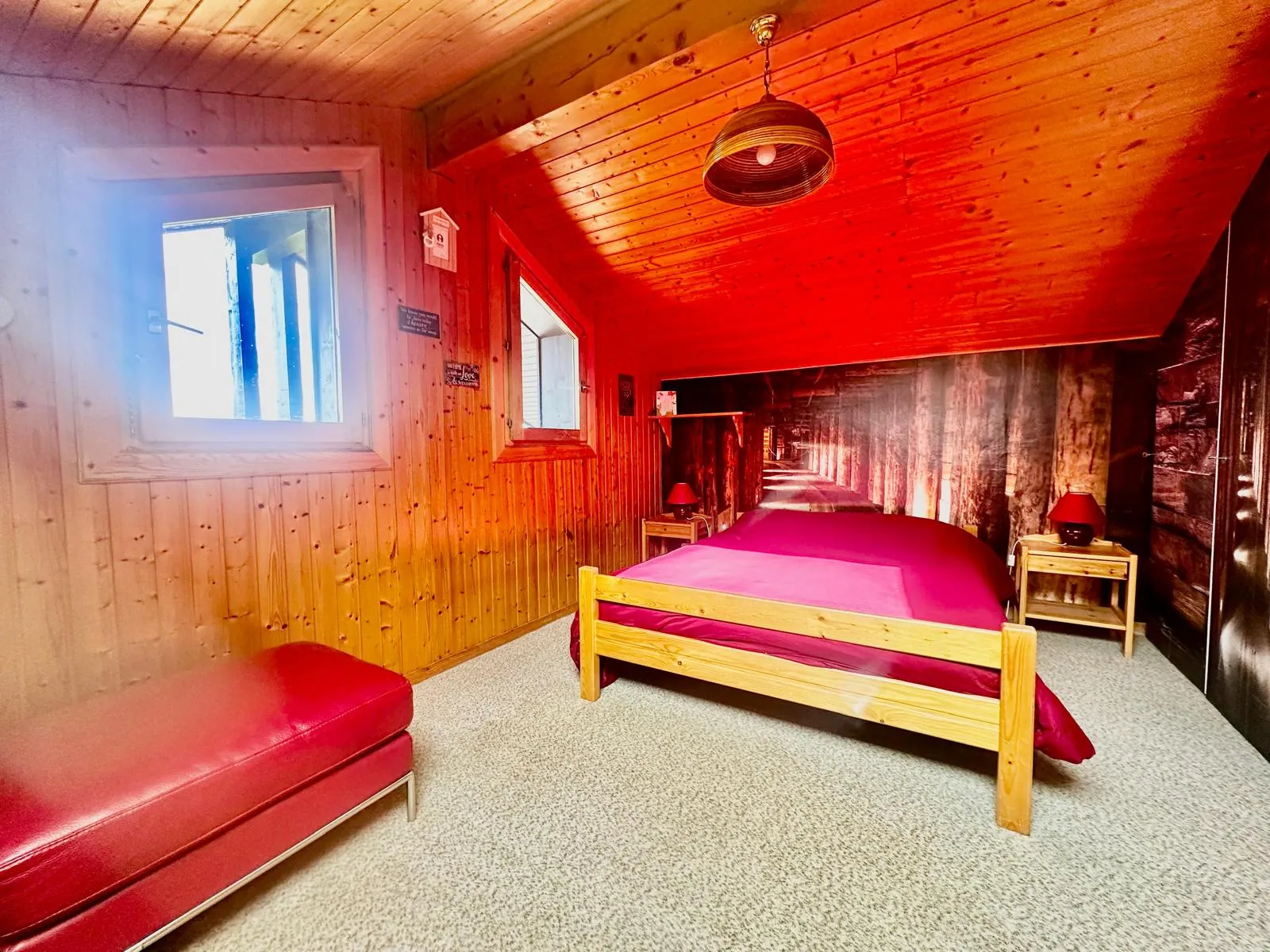 Appartement duplex avec vue lac à Thollon-les-Mémises près d'Evian 