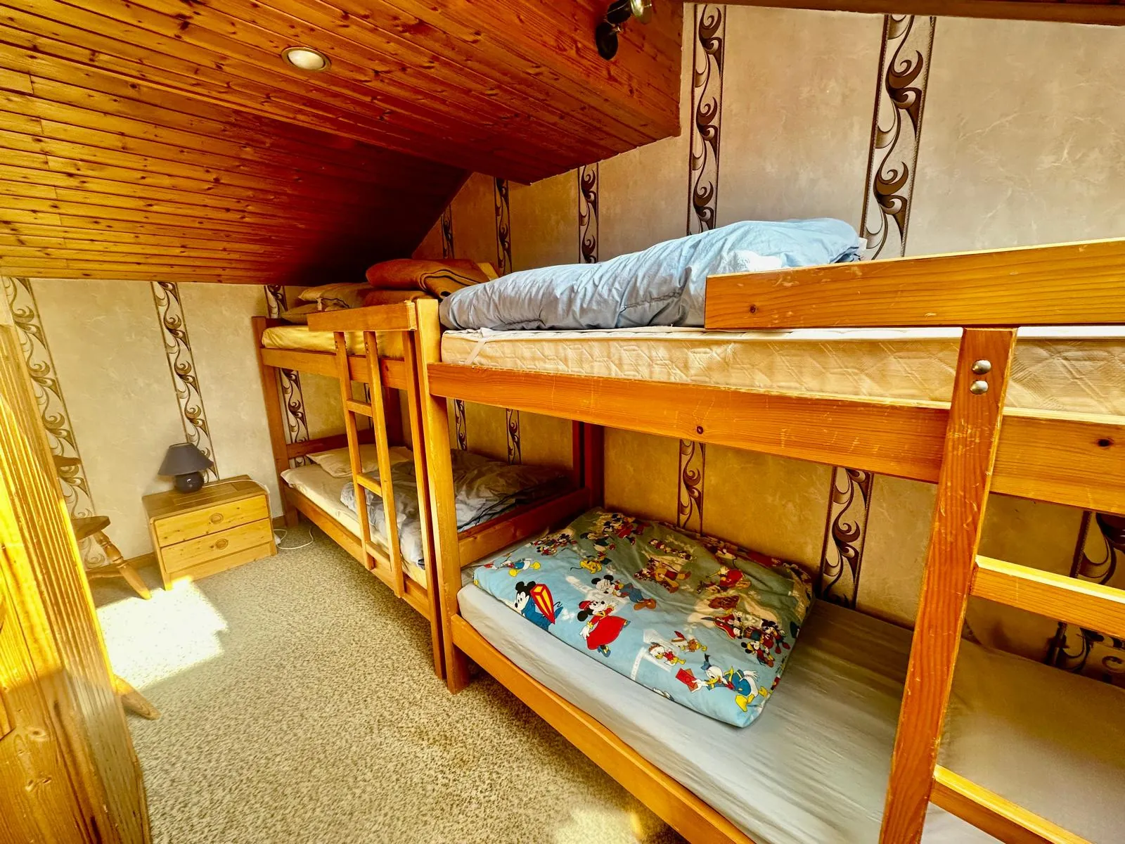 Appartement duplex avec vue lac à Thollon-les-Mémises près d'Evian 