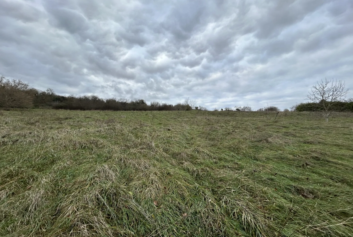 Propriété idéale pour chambres d'hôtes ou gîtes à Varzy près du Morvan 