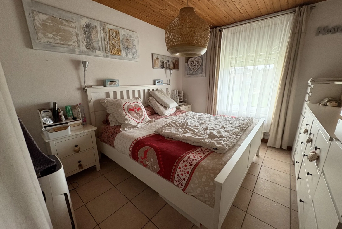 Immeuble de rapport à vendre à Pfetterhouse proche frontière suisse 