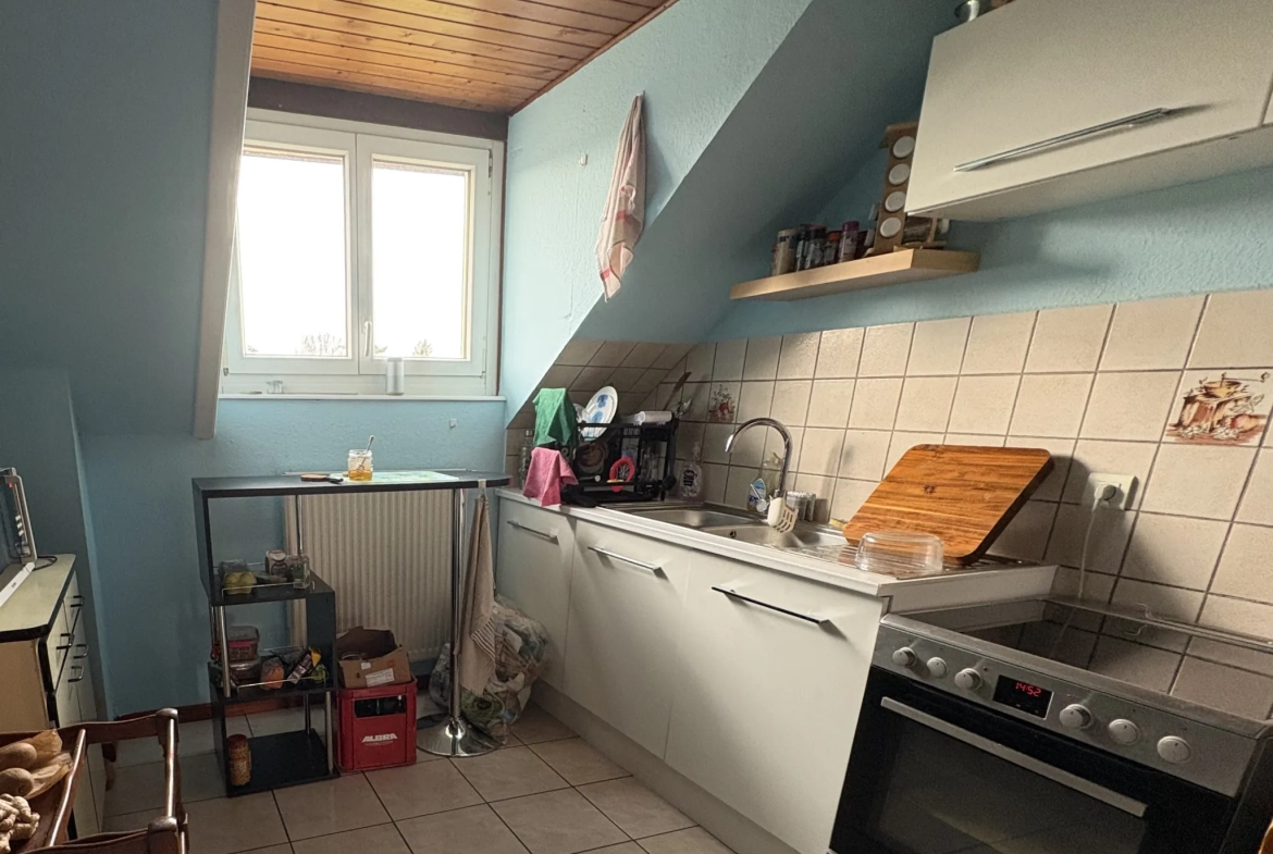 Immeuble de rapport à vendre à Pfetterhouse proche frontière suisse 