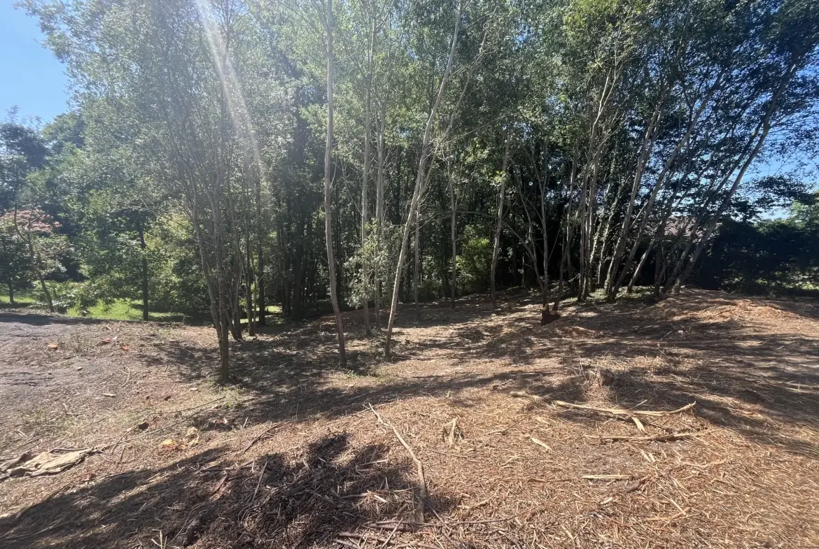 Terrain à bâtir à Urcuit - 455 m² constructibles proche commodités 
