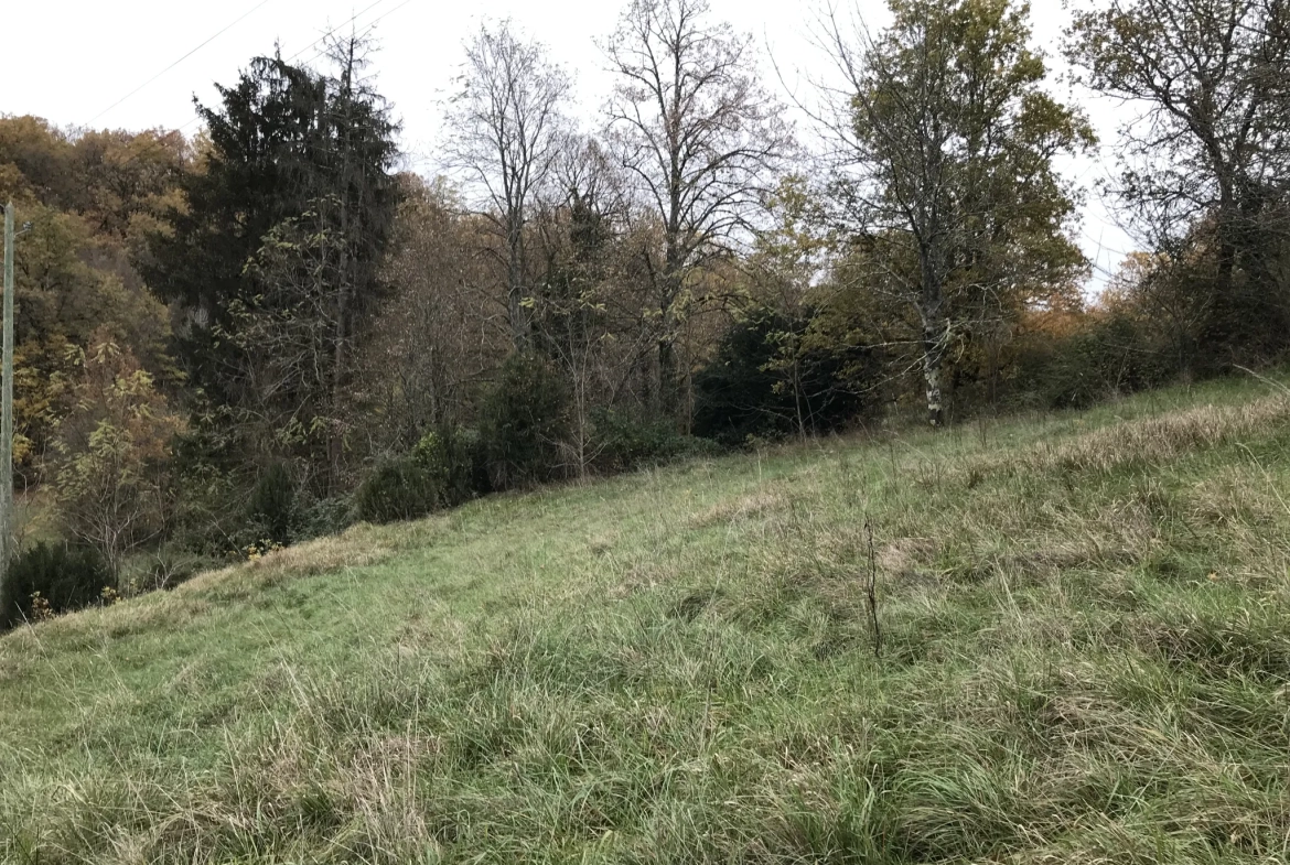 Charmante maison de village de 125 m² avec terrain en Périgord Vert 
