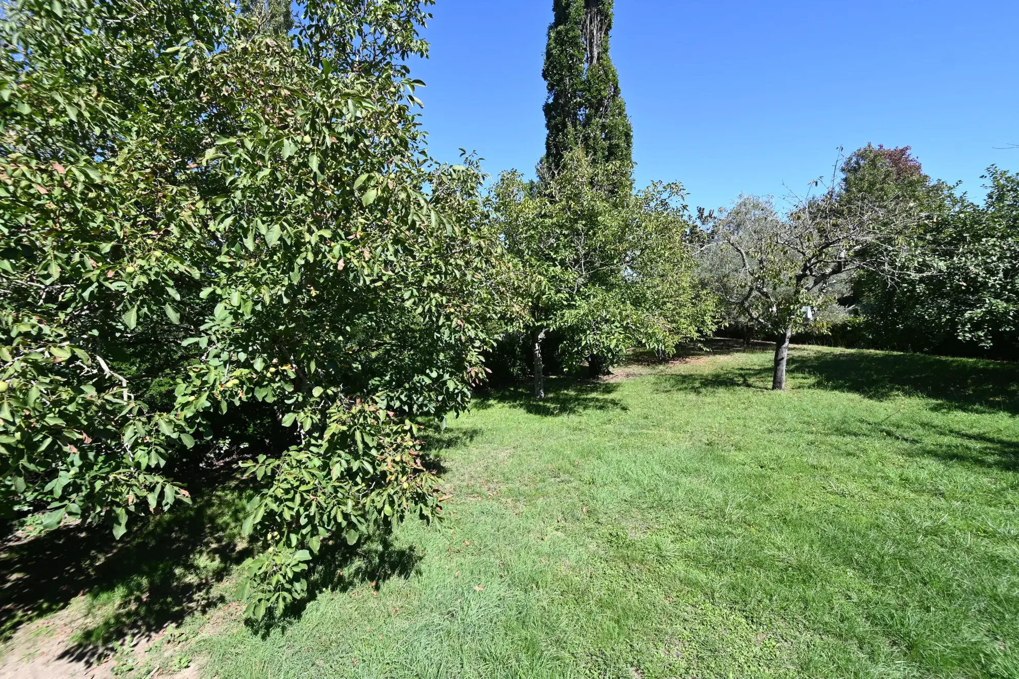 Grande maison familiale à Grepiac près de Venerque - 230m² sur terrain de 2000m² 