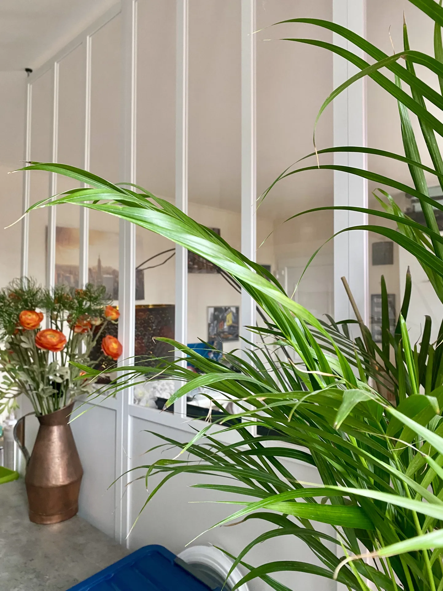 Bel appartement rénové de 28m² à Sucy-en-Brie, sans charges 