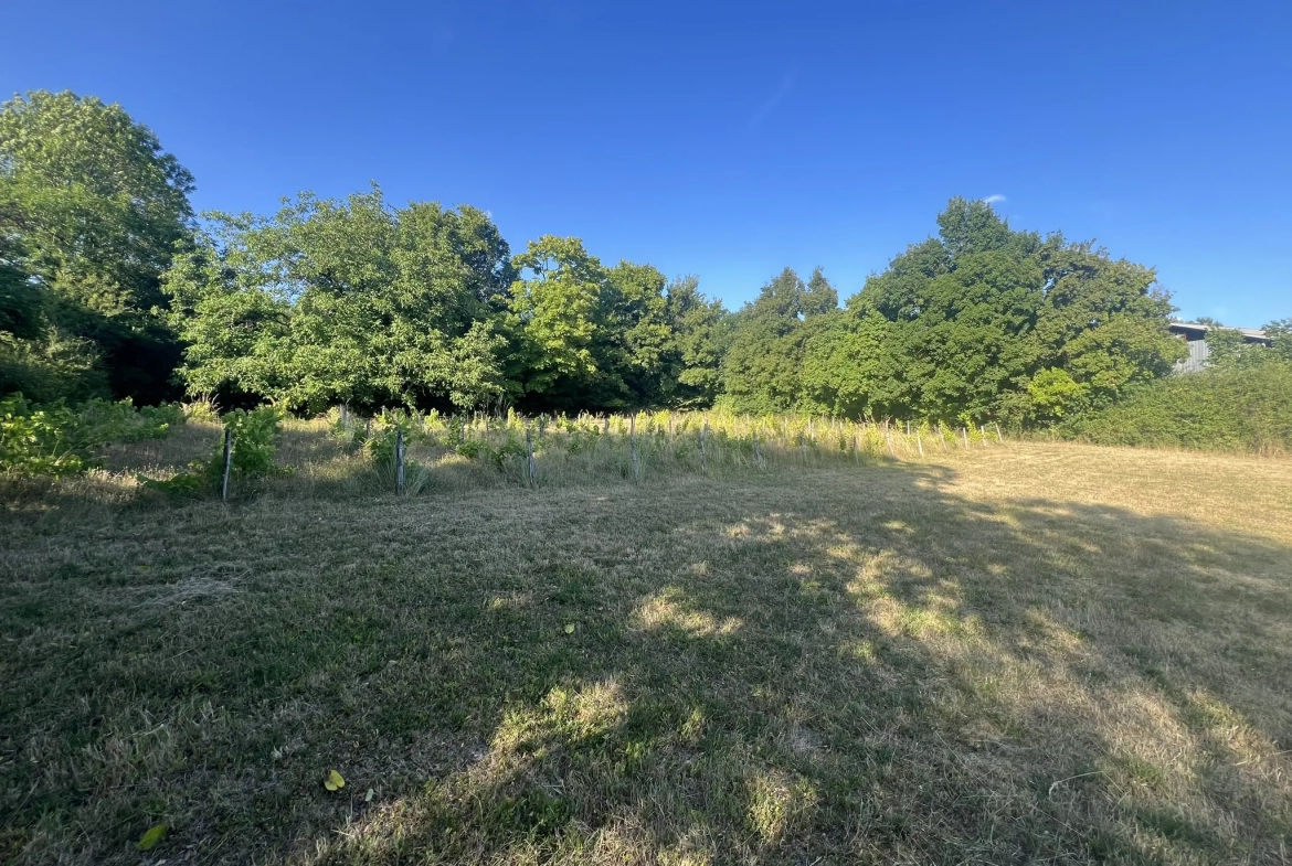 Charmante maison de village rénovée avec grand terrain à Vinon près de Sancerre 