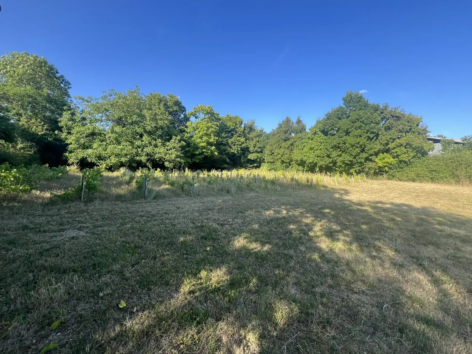 Charmante maison de village rénovée avec grand terrain à Vinon près de Sancerre 