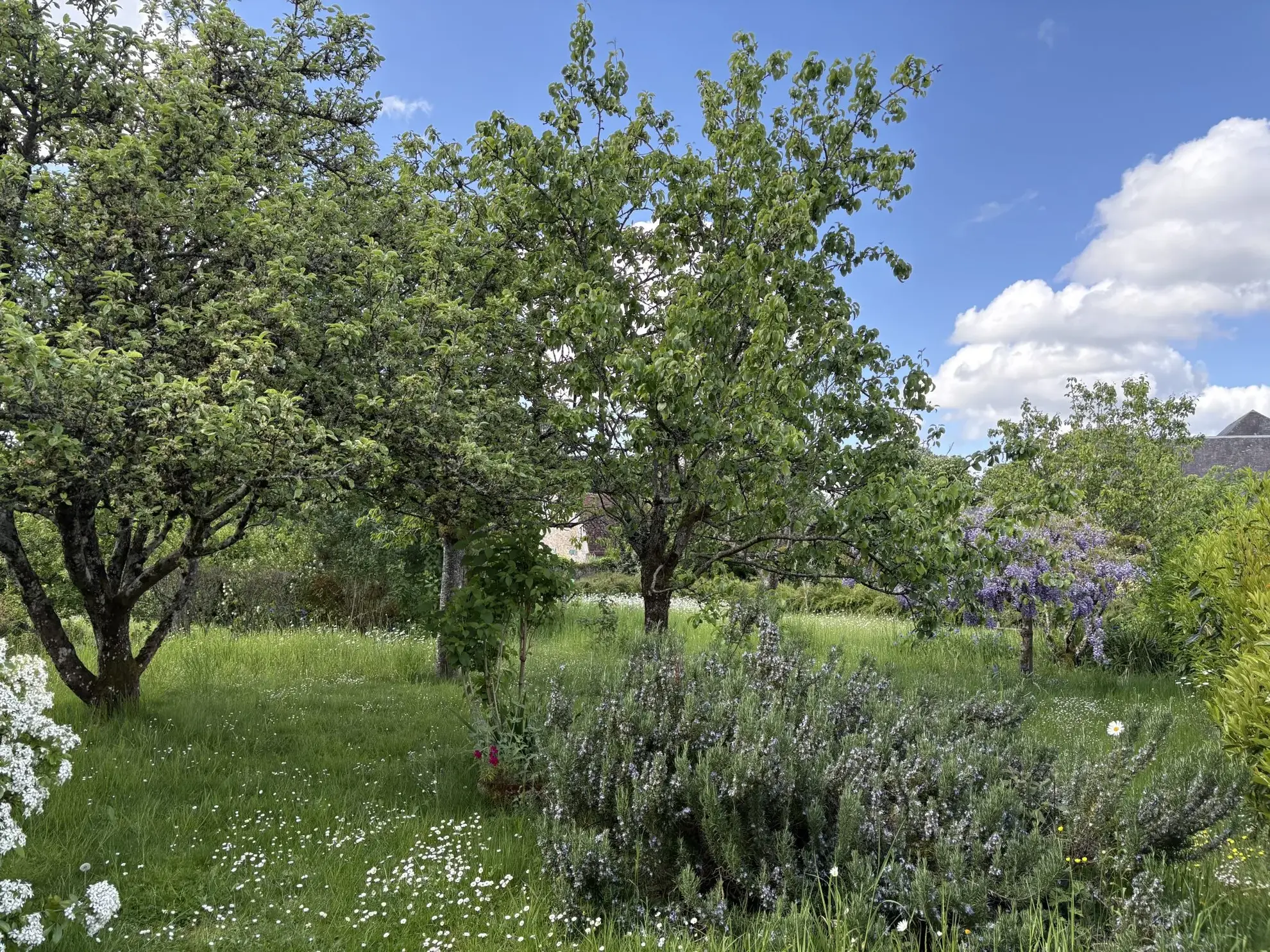 Maison de plain-pied à vendre à Aillières-Beauvoir avec jardin de 400 m² 