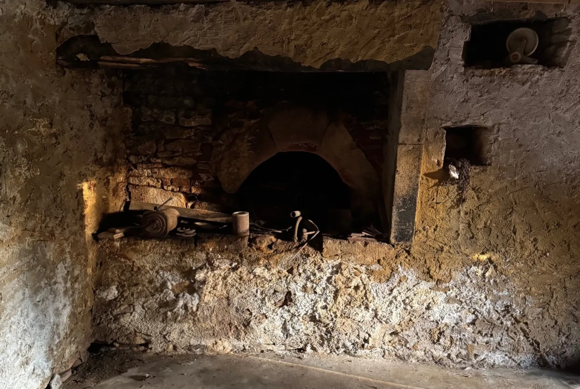 Rare maison en pierre avec dépendances et parcelle constructible à La Chapelle Aubareil 